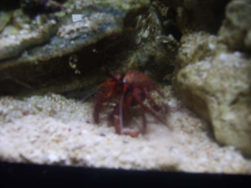 IMG_0388.jpg