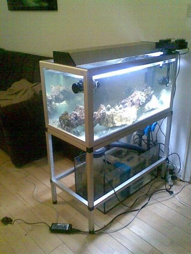 Billede050 (Medium).jpg