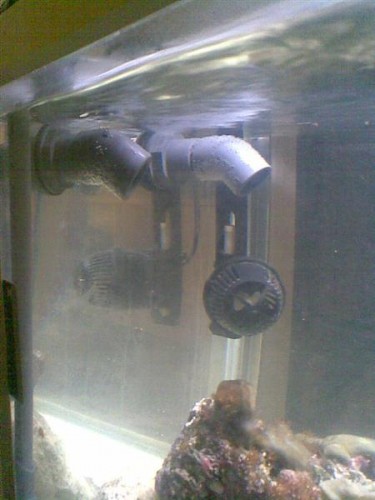 Billede052 (Medium).jpg