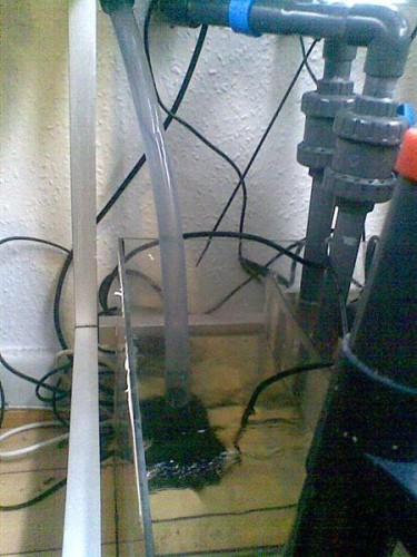 Billede048 (Medium).jpg
