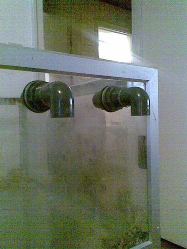 Billede032 (Medium).jpg
