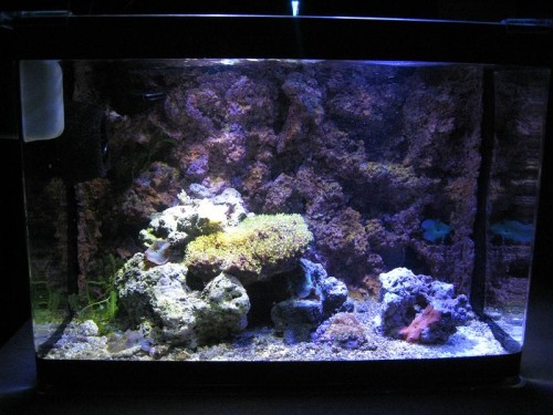 13. januar 2010