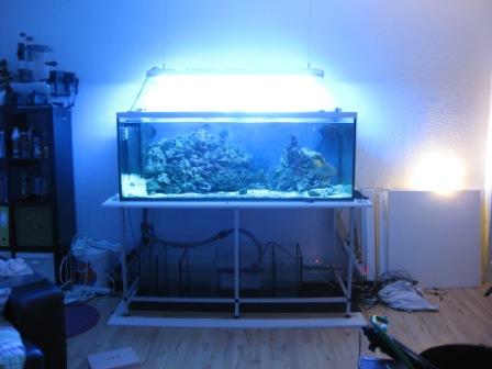 nye sump 004.jpg
