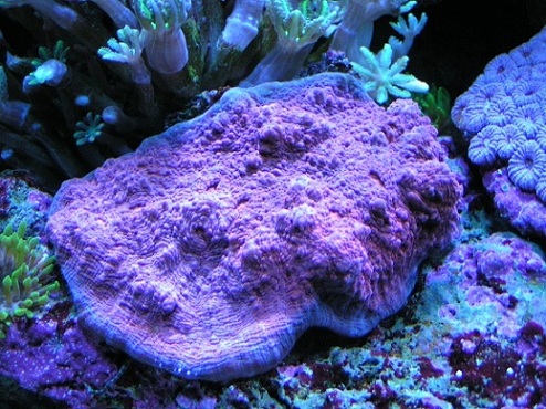 PICT1121.JPG