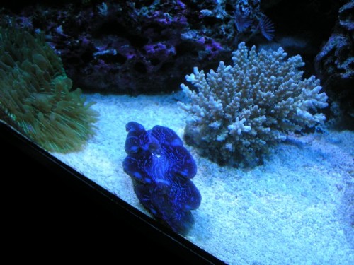 PICT1159.JPG