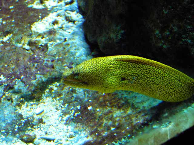IMAG0574.jpg