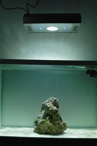 DSC_0024 (Small).jpg
