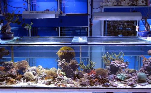 Bild%20K&N (Small).JPG