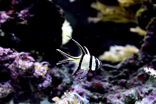 IMG_3126.JPG