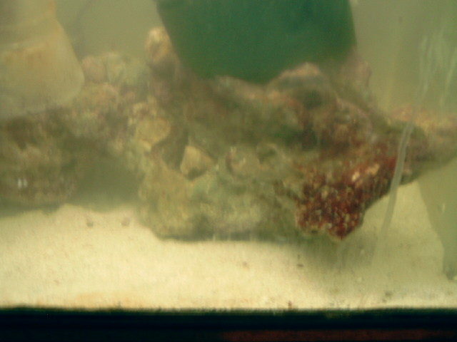 M4110073.JPG