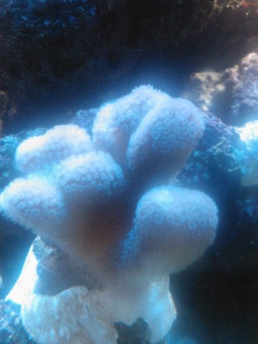 IMG021.jpg