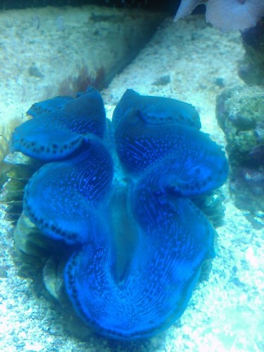 IMG024.jpg