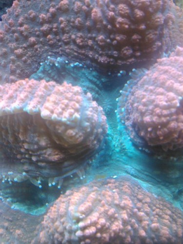 IMG032.jpg