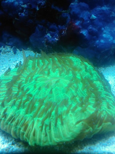 IMG036.jpg