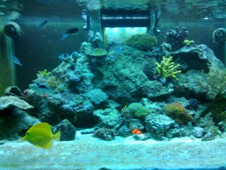 07012010045.jpg