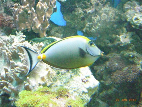 RIMG3254.JPG