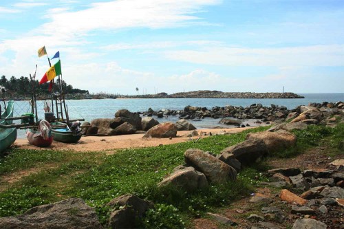 også fra baghaven