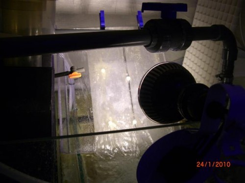 CIMG2559 (Small).JPG