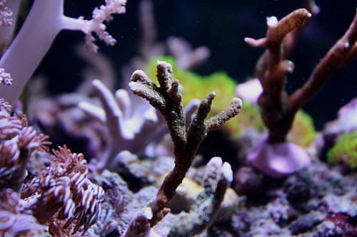 IMG_3170.JPG