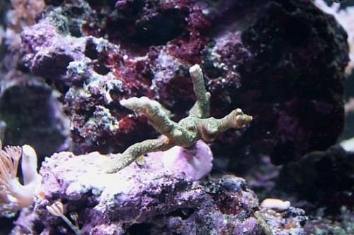 IMG_3181.JPG