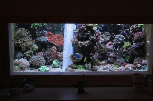 projekt integration (Medium).JPG