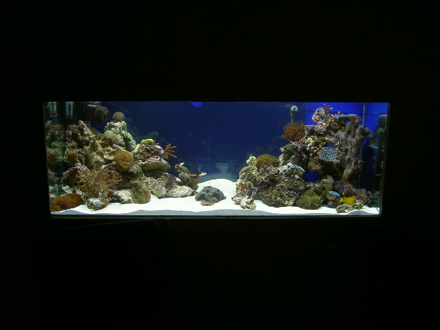 PICT0600.JPG