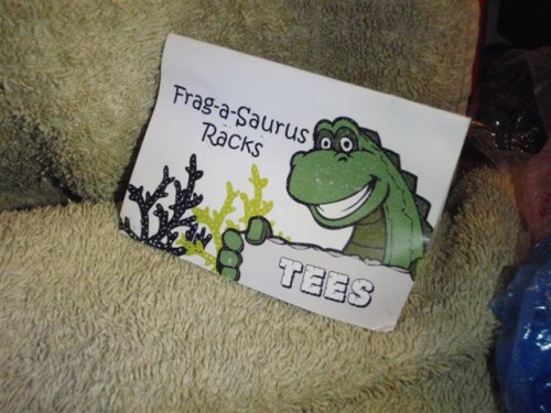 frag-time 011 (Small).jpg