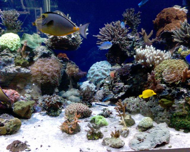 DSC00046 (Small).JPG