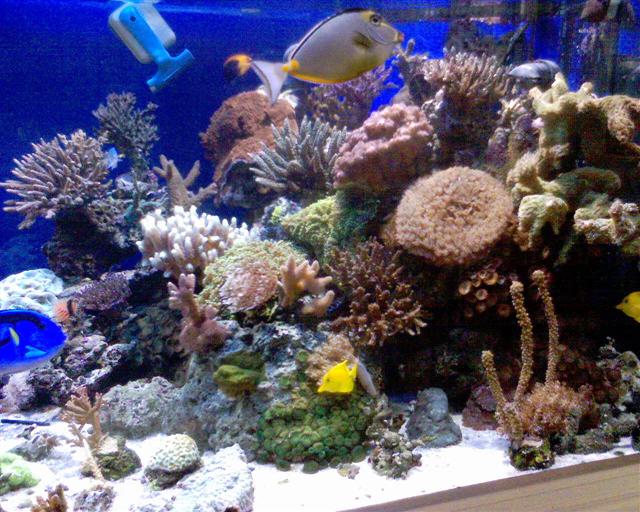 DSC00045 (Small).JPG