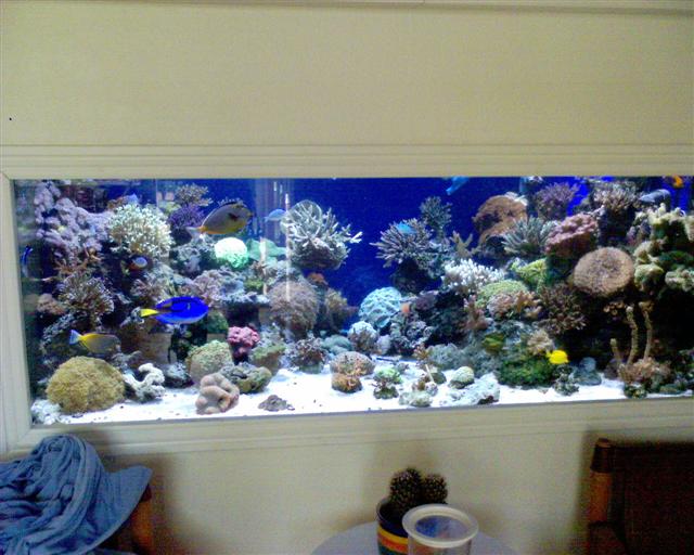 DSC00043 (Small).JPG