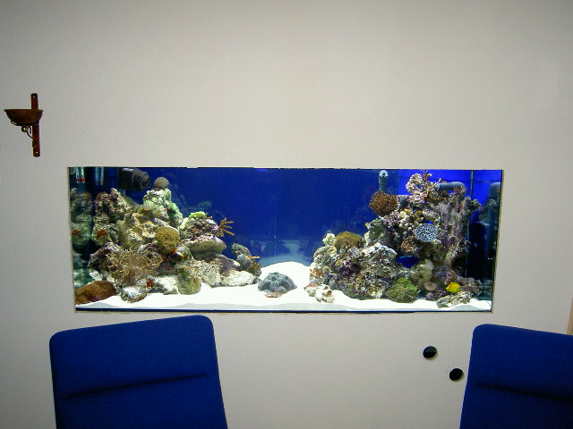 PICT0603.JPG