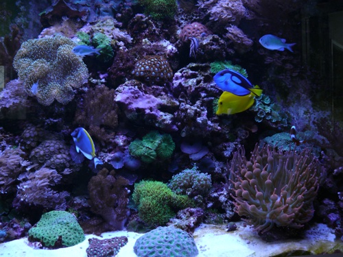 L1020142.jpg