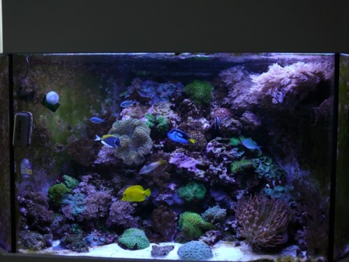 L1020148.jpg