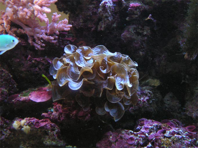 PICT0016.jpg