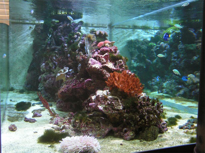 PICT0214.jpg