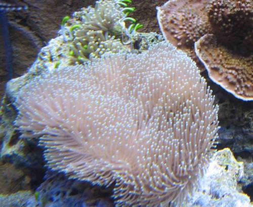 IMG_0661.jpg