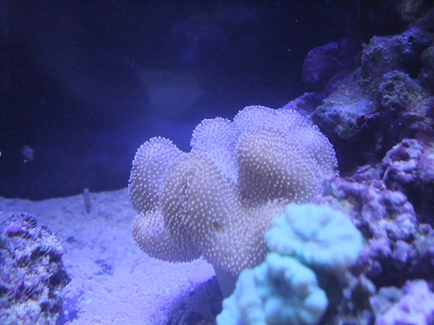 110210_0039L.jpg