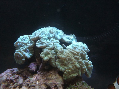 160210_0015L.jpg