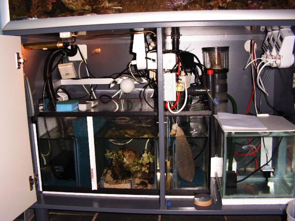 7sump2.jpg