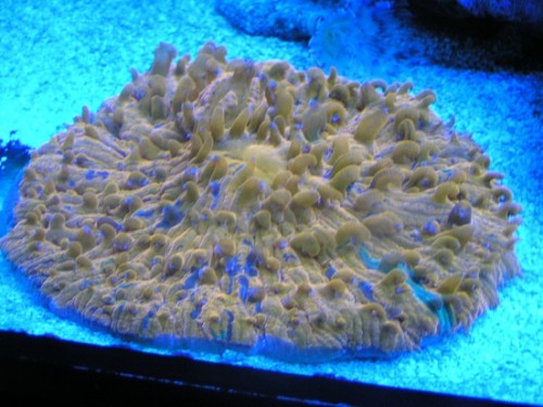 PICT1507.JPG