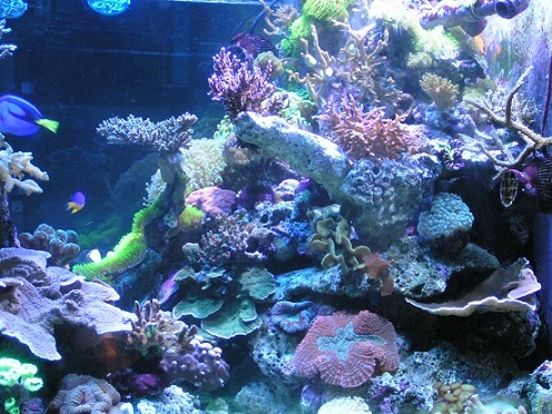 PICT1556.JPG