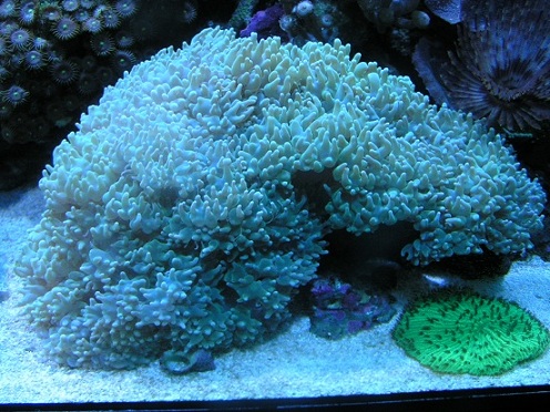 PICT1566.JPG