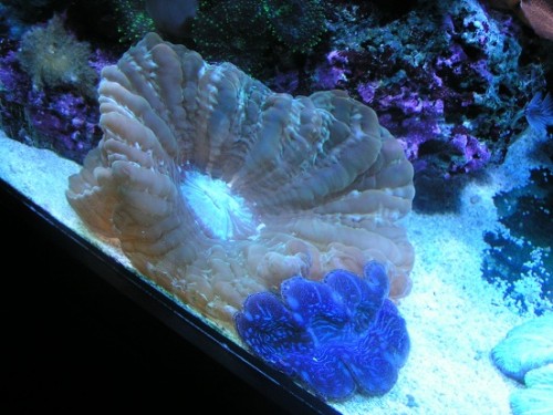 PICT1567.JPG