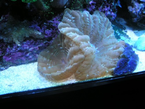 PICT1568.JPG