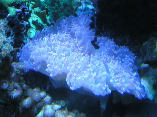 PICT1573.JPG
