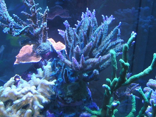 PICT1576.JPG