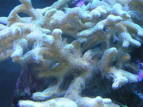 PICT1579.JPG