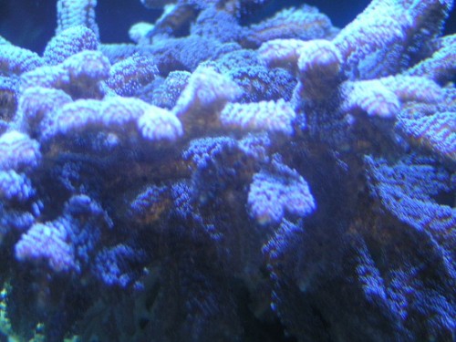 PICT1580.JPG
