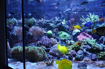 DSC_0040 nr 2.JPG