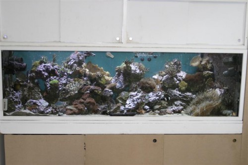 Saltvand 20-02-10 008 (Medium).jpg
